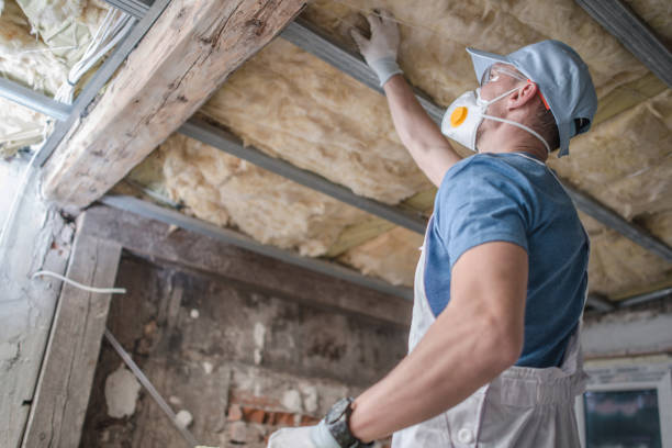 Best Insulation for Specific Applications in Cedar Ridge, CA