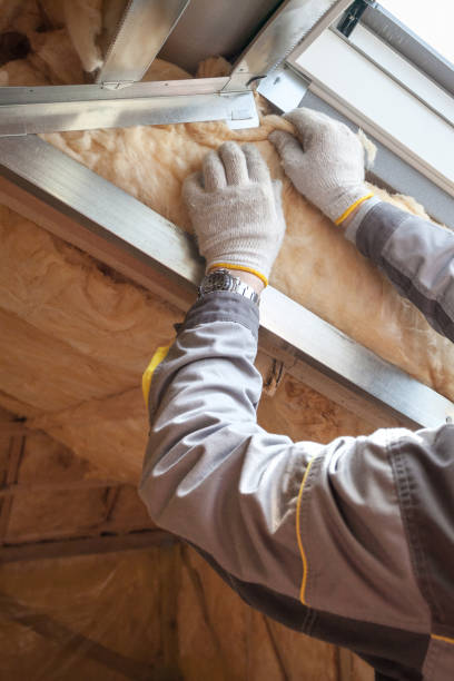Best Insulation Installation Services in Cedar Ridge, CA